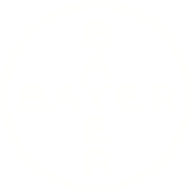 Title Bayer Logo