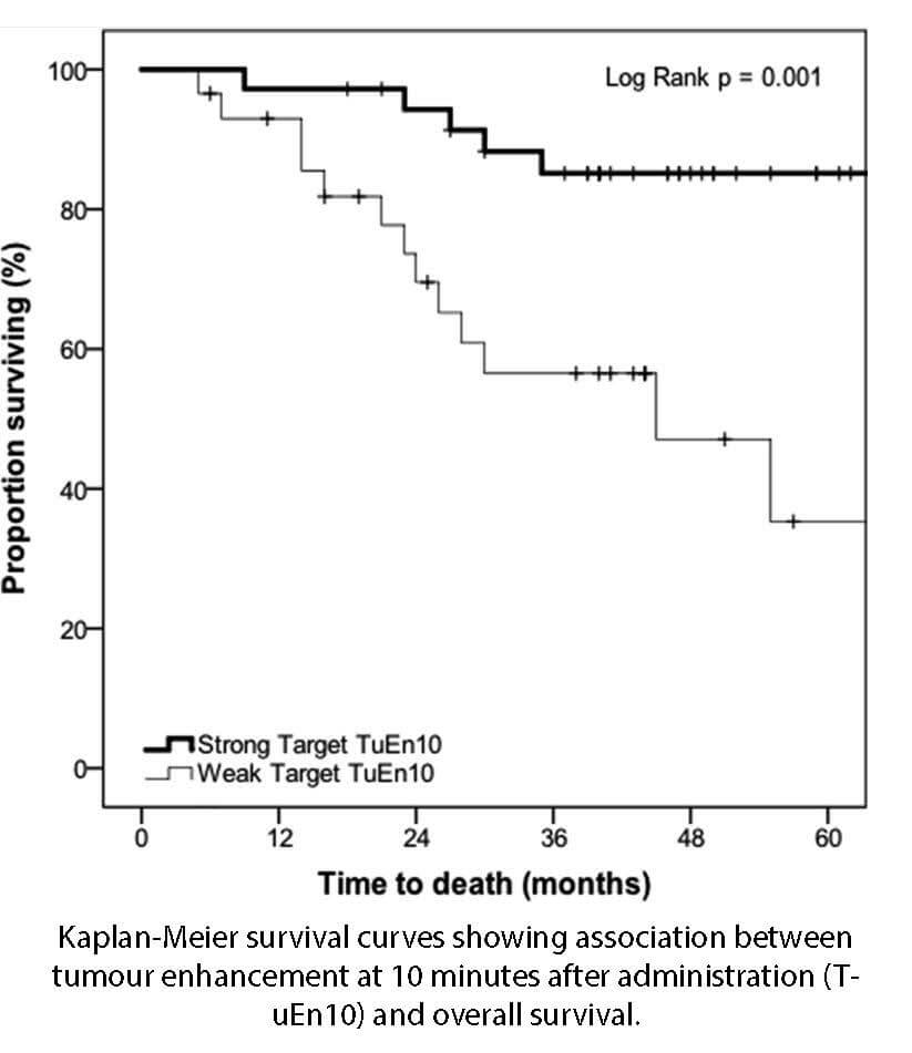 RI001 [EN] Delayed tumour enhancement - Graph
