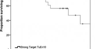 RI001 [EN] Delayed tumour enhancement - Graph