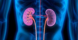 RI016 [EN] CAR guidelines - GBCAs in kidney disease (1)